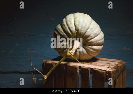 Pumpkin on wooden crate against blue wall in dramatic lighting. Minimal autumn still life with squash and rustic texture Stock Photo