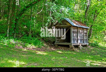Energizing green trees surround a small rustic shed with a metal roof and sitting on a stone foundation on a small hillside. A functional structure in Stock Photo