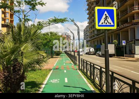 A dedicated green bicycle lane on an urban street with a pedestrian crossing sign, city infrastructure, and palm trees in a modern neighborhood. Stock Photo