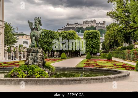 A view across the Mirabell Gardens in Salzburg, with the bronze sculpture of Pegasus in the foreground and Hohensalzburg Fortress (construction began in 1077) on the Festungsberg in the background. The Mirabell Gardens were laid out around 1690 on the instructions of Archbishop Johann Ernst Graf von Thun and were inscribed as part of the UNESCO World Heritage Site of Salzburg in 2001. Salzburg, Austria Stock Photo