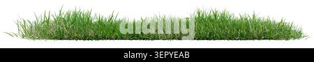 Isolated green grass row and field tuft on a transparent background. Realistic long grass border element for landscape design, architectural rendering Stock Photo
