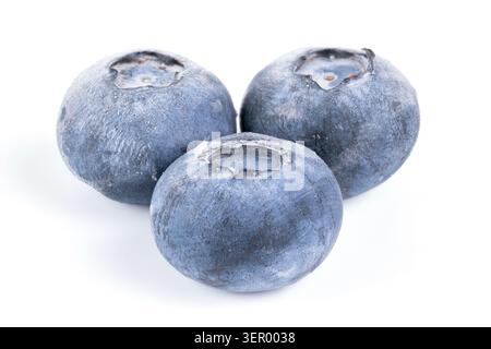 Three frozen blueberries arranged together on a clean white background, showing natural bloom, round shape, and simple food presentation with bright studio Stock Photo