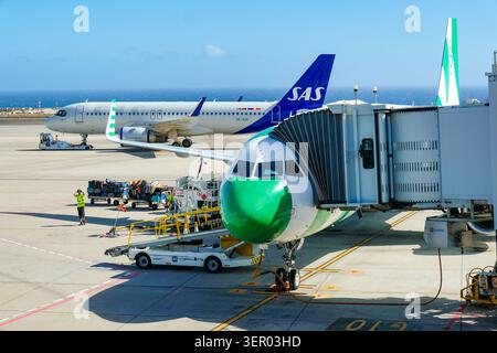 28.02.2026, Spain, Tenerife, Santa Cruz de Tenerife - A CONDOR aircraft is ready for boarding. Tenerife South Airport (TFS). In the background, an SAS Stock Photo