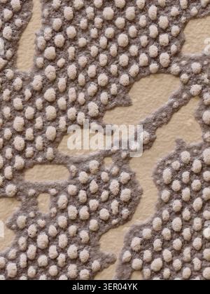 Macro view of a textured textile showing raised beige loops and gray outlines on a sandy background. Soft, tactile surface with clustered nub structur Stock Photo