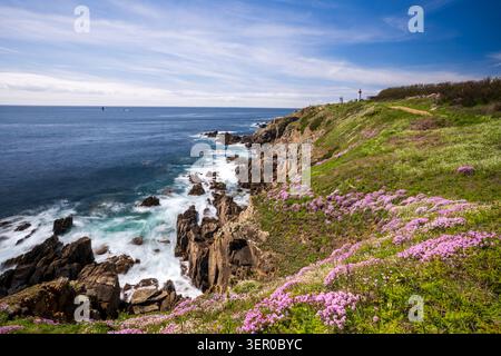 White ocean waves crash forcefully against jagged rocky cliffs covered in dense green vegetation and wild pink flowers. A red and white lighthouse sta Stock Photo