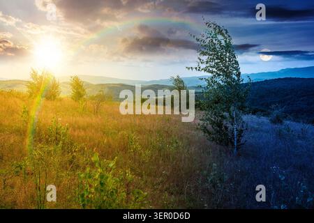 tree on a field in mountain landscape. day meet night. sun and moon over green countryside of ukraine in summer. cloudy weather. carpathian landscape Stock Photo