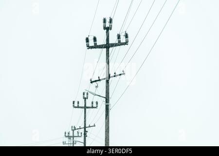 Row of electricity power poles and lines against overcast winter sky, selective focus Stock Photo