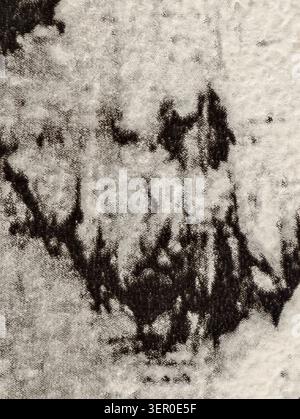 Close-up view of aged textured paper stained with black ink forming an abstract organic pattern. Visible paper fibers, grainy halftone dots and rough Stock Photo