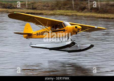 Piper PA-18-150 Super Cub N4488Z lifts off from the Chena River in Fairbanks, Alaska, Stock Photo
