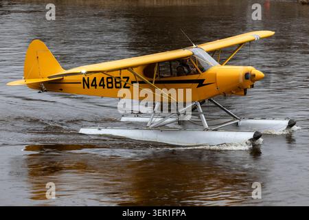 Piper PA-18-150 Super Cub Seaplane Preparing to Take Off from the Chena River, Fairbanks, Alaska Stock Photo