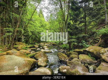 A small river runs between lush trees and mossy rocks, hiking in spring, Waldnaabtal Nature Reserve, Upper Palatinate Stock Photo