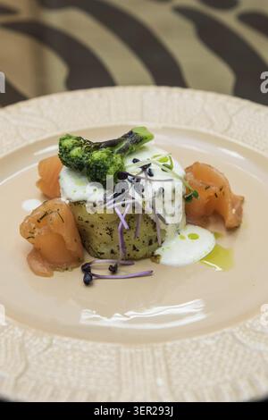 Potato casserole with broccoli white sauce and salmon fish decorated with micro greens sprouts of radish Stock Photo