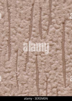 Tight detail view of a beige plaster wall showing rough, granular texture and several narrow vertical grooves. Soft, even lighting highlights shadows Stock Photo