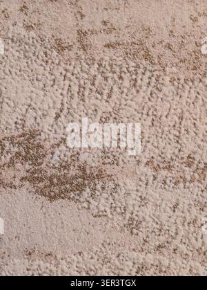 Close-up view of a rough beige plaster wall featuring uneven texture, small ridges and pits, and areas of faint gold patina. Soft directional lighting Stock Photo