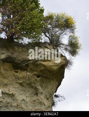 A large rock formation stands tall with green trees growing on top. The cliff edge drops off sharply. The sky is cloudy, and the scene shows nature in Stock Photo