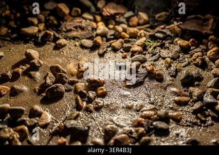 Wet Pebbles and Muddy Ground Texture Stock Photo