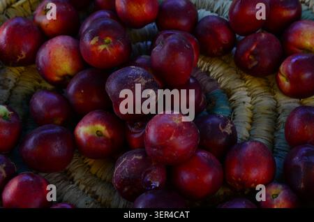 Ripe Red Nectarines in a Rustic Basket Stock Photo
