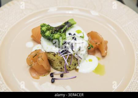 Potato casserole with broccoli white sauce and salmon fish decorated with micro greens sprouts of radish Stock Photo