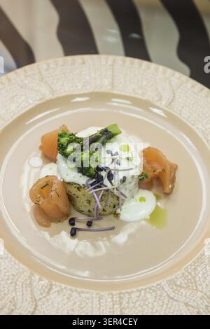 Potato casserole with broccoli white sauce and salmon fish decorated with micro greens sprouts of radish Stock Photo