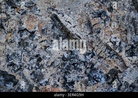 Ash and burnt charcoal after a fire Stock Photo