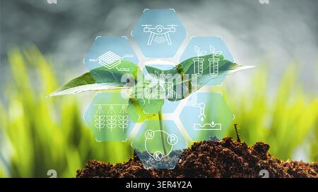 Smart farm technology enhances crop growth and monitoring in modern agriculture practices Stock Photo