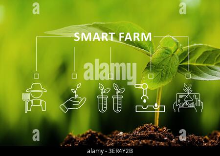 Smart farm technology supports plant growth and enhances agricultural practices in various locations Stock Photo