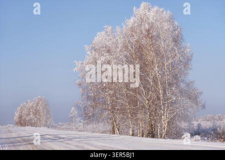 Winter road under snow. Siberian natural winter season landscape. Frozen birch trees covered with hoarfrost and snow Stock Photo