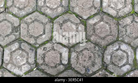 Pattern of moss on concrete blocks. Suitable for nature blogs, gardening articles, or background textures for design projects. Stock Photo