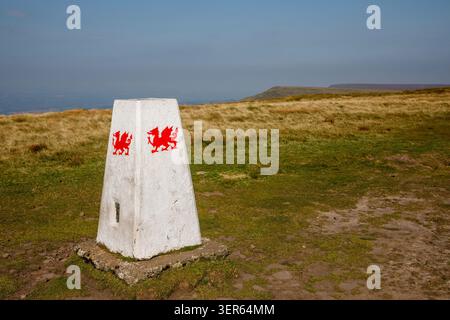 Trig point with painted Welsh dragon, Rhos Dirion at the ehad of the Grwyne Fawr valley, Wales, UK Stock Photo