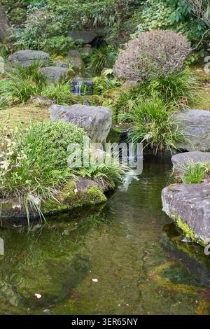 A small waterfall flows between moss covered rocks into a clear garden pond at Hase-dera Stock Photo