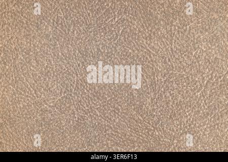 A light brown textured leather surface showing fine natural grain details Stock Photo