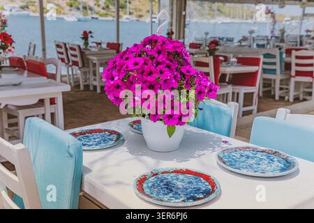 Vibrant pink petunias creating a cheerful atmosphere on a white table set with unique blue and red plates at a coastal restaurant Stock Photo