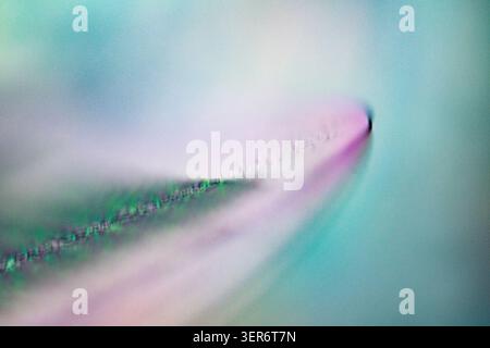 Abstract electronic wafer surface showing soft colorful lines for technology concepts Stock Photo