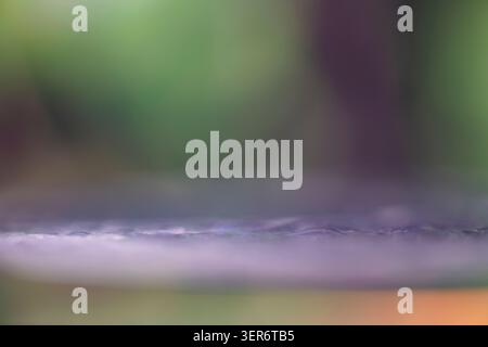 Wafer edge in soft focus with an abstract green and purple background Stock Photo