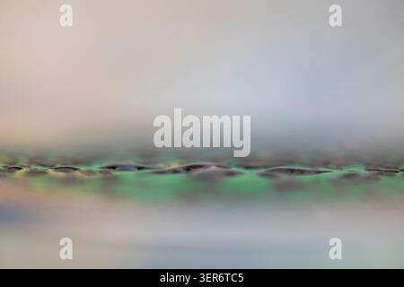 Wafer surface showing abstract close-up view with blurred background Stock Photo