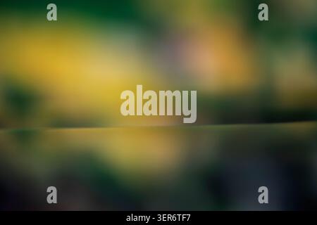 Blurry abstract green and yellow background showing a horizontal line across the center Stock Photo