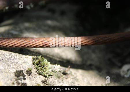A metallic cable shows rust and texture while resting on a stone surface. Small green plants are growing near the cable, highlighting the contrast bet Stock Photo