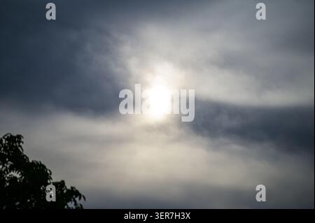 Partially hidden sun illuminates dense atmospheric clouds with a dark tree silhouette. Stock Photo