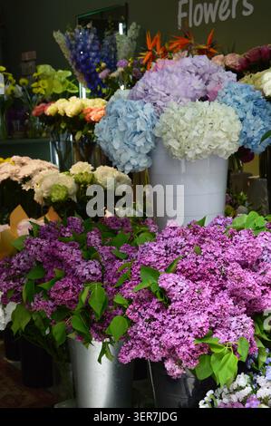 beautiful floral arrangements and bouquets with colorful hydrangeas and summer flowers in a rustic or outdoor setting. Moody and soft artistic editing. Stock Photo