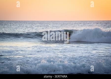 View of a surfer riding a breaking wave during a golden sunset on the coast of El Cotillo, Canarias, Spain. Stock Photo