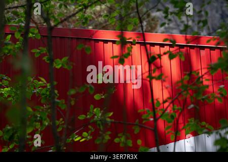 Abstract background featuring detailed texture of a bright red corrugated metal wall with beautiful shadows of tree leaves . Vivid red metal fence sur Stock Photo