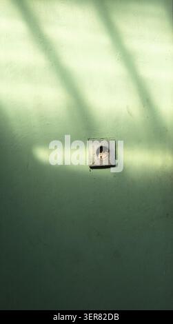 A minimalist view of an old European-style electrical wall outlet on a green painted concrete wall, decorated with soft tree leaf shadows and sunlight Stock Photo