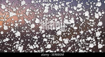 Abstract digital art background featuring a dense pattern of white, textured, circular particles scattered over a soft purple and orange gradient surf Stock Photo