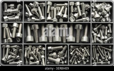 Stainless steel socket head cap screws sorted by size in a compartment storage organizer. Industrial fastening hardware and engineering components. Stock Photo