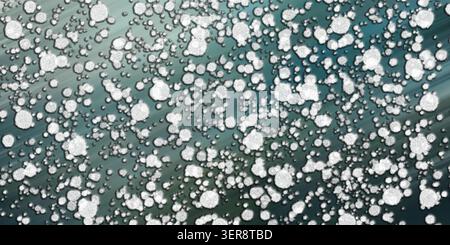 Abstract background featuring a dense pattern of white, textured, circular particles layered over a deep teal and blue gradient backdrop. Stock Photo