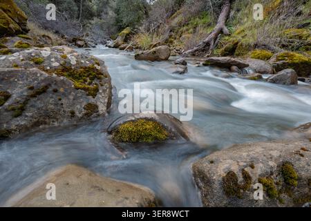 Rushing creek water flows over mossy boulders Stock Photo