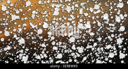 An abstract digital art composition featuring numerous white, textured, irregular circular particles scattered over a warm golden and dark background. Stock Photo