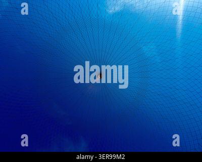 Intricate net textures form a radial symmetry pattern, converging at the center against a vibrant blue sky, creating an abstract geometric backdrop wi Stock Photo