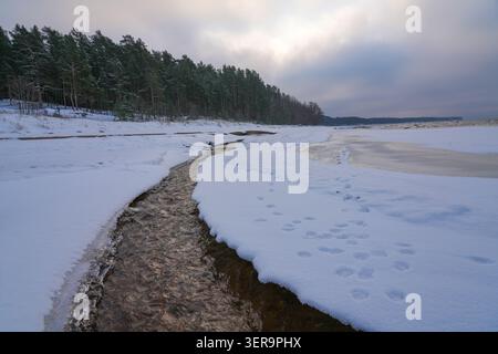 A winding stream cuts through a snow-covered beach before reaching the frozen Baltic Sea near Veczemju Cliffs on the Vidzeme coast of Latvia. Stock Photo