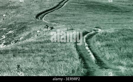 Winding rural dirt road through grassy meadow in monochrome landscape photography compositio Stock Photo